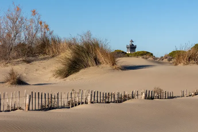 Plage de L'Espiguette